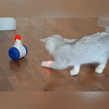 CatPlay -Het speeltje voor uw kat