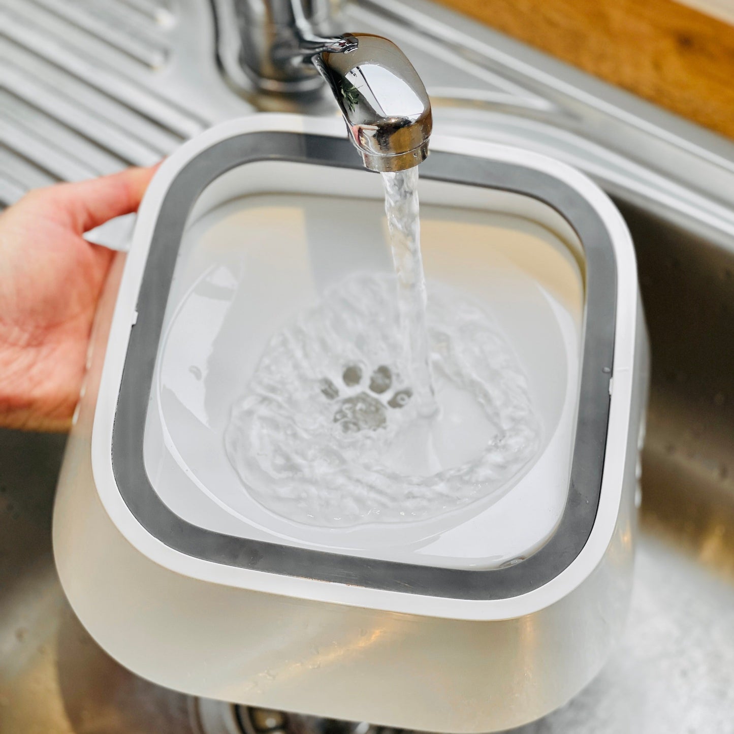 DryBowl 🐾 Spatvrije drinkbak voor uw vier voeter.