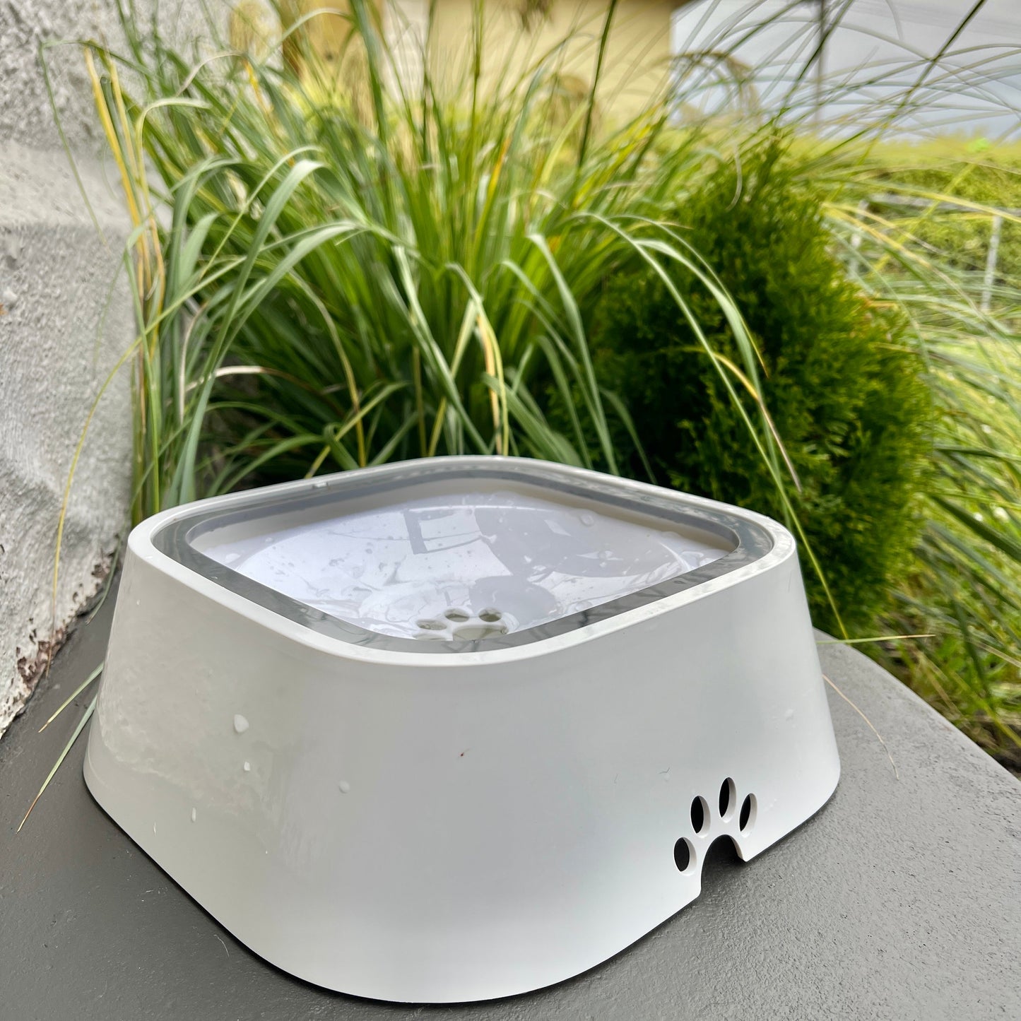 DryBowl 🐾 Spatvrije drinkbak voor uw vier voeter.